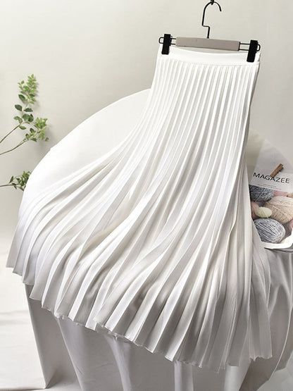 Delany | Elegante Plissérok Met Hoge Taille